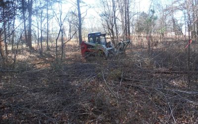 Brush Hogging – Brush Clearing – Free Estimate Brush Hogging - Brush Clearing - Free Estimate