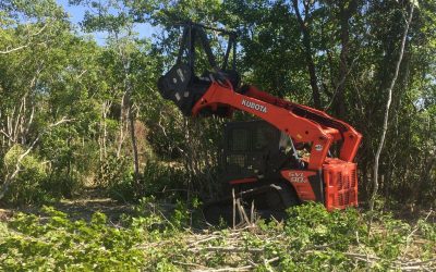 Brush Hogging – Brush Clearing – Free Estimate Brush Hogging - Brush Clearing - Free Estimate