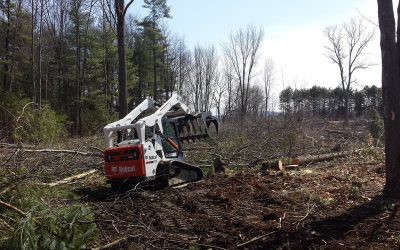 Brush Hogging – Brush Clearing – Free Estimate Brush Hogging - Brush Clearing - Free Estimate