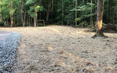 Brush Hogging – Brush Clearing – Free Estimate Brush Hogging - Brush Clearing - Free Estimate