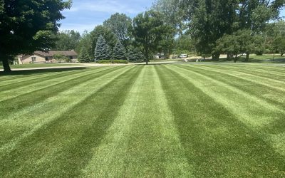 Lawn Care, Lawn Mowing, Grass Cutting, Lawn Service