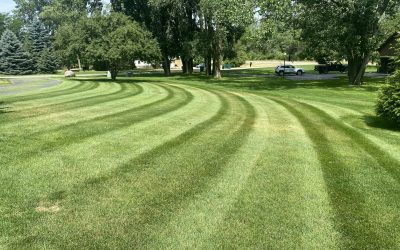 Lawn Care, Lawn Mowing, Grass Cutting, Lawn Service