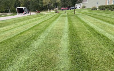 Lawn Care, Lawn Mowing, Grass Cutting, Lawn Service