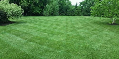 Lawn Care, Lawn Mowing, Grass Cutting, Lawn Maintenace, Lawn Care Business Lawn Care, Lawn Mowing,