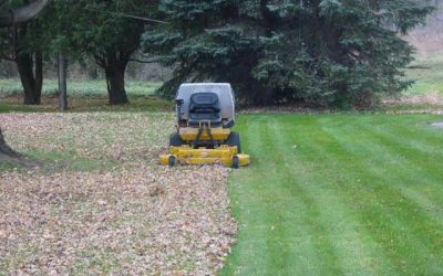Leaf Removal – Free Estimates Leaf Removal - Free Estimates