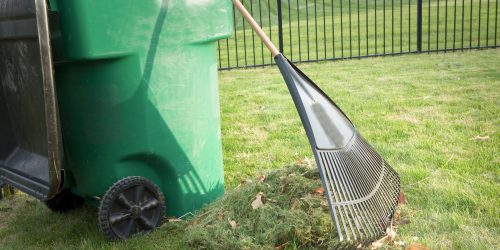 Raking up grass cuttings in spring Leaf Removal