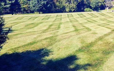 Lawn Mowing Bid Free Estimate