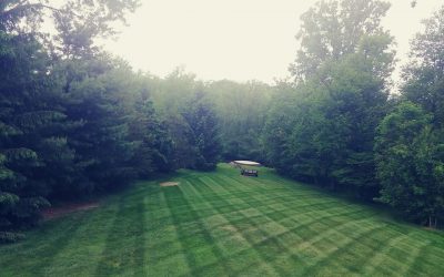 Lawn Mowing Bid - Free Estimates
