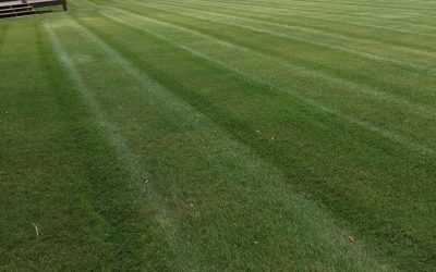 Lawn Mowing Service - Free Estimate