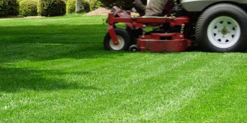 Lawn Mowing Service, Lawn Care Service Lawn Care, Lawn Mowing,