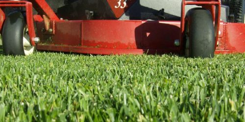 Lawn Mowing Service, Lawn Mower, Lawn Care, Lawn Mowing,