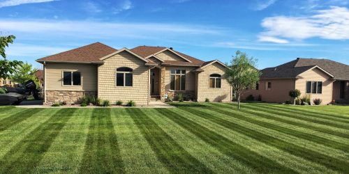 Lawn Mowing Service Lawn Mowing Service