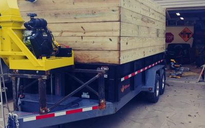 Leaf Removal Free Estimates LLeaf Removal Free Estimates