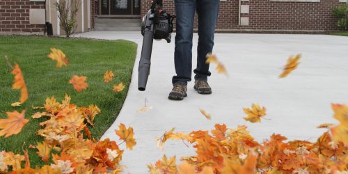 Leaf Removal, Leaf Removal service, Fall Clean Up, Spring Clean Up, Leaf Removal
