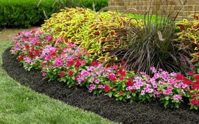 Mulching-Free Estimate