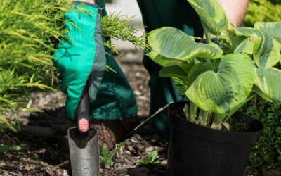 Mulching Free Estimate