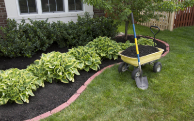 Mulching Free Estimate
